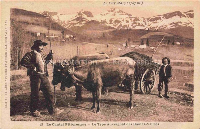 Landwirtschaft Le Puy Mary  Cantal Pittoresque Type Auvergnat Hautes Valleess Bu
