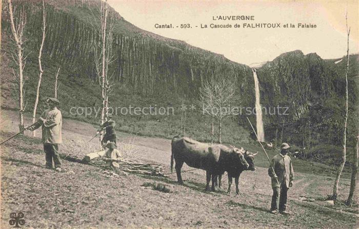 Landwirtschaft Auvergne Cantal Falhitoux Bullen