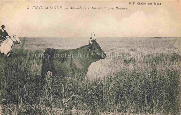 Landwirtschaft Canargue Manade Amaree Lau Bramairo
