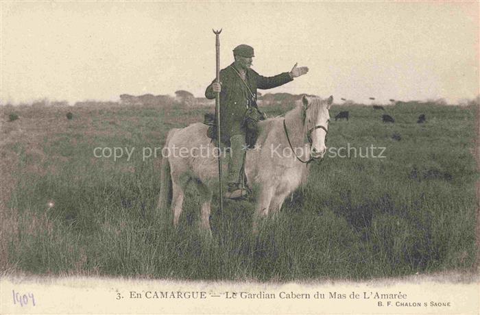 Landwirtschaft Camargue Gardian Cabern Amare Pferd