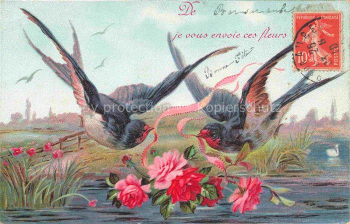 Schwalben Swallow Hirondelle Golondria Voegel Birds Oiseaux Rosen See