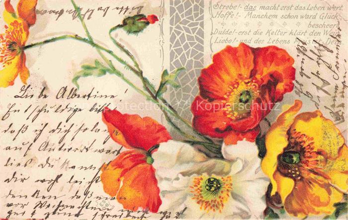 Mohnblumen Poppies Coquelicots Papaveri Amapolas-- Litho Weis Gelb Rot