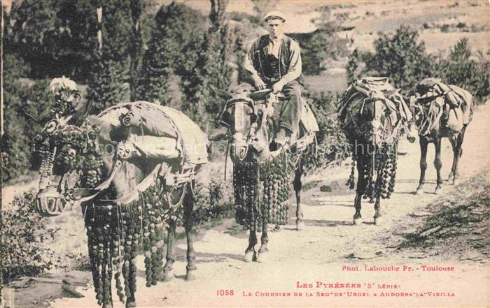 Esel Tiere Courrier de la Seo Urgel Andorra