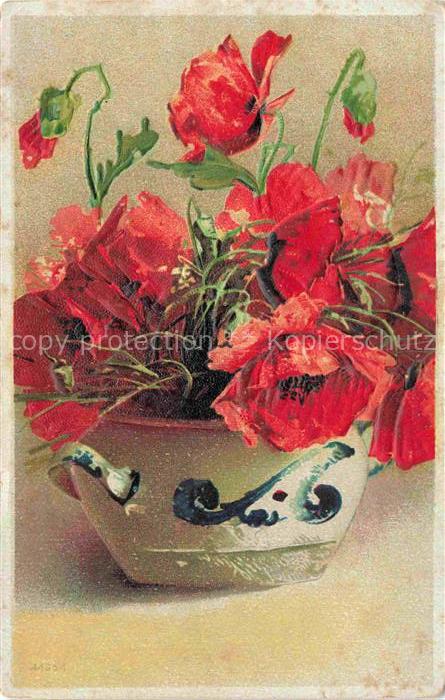 Mohnblumen Poppies Coquelicots Papaveri Amapolas-- Rot Blumentopf