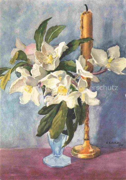 Schlatter E.E. Kuenstlerlitho Schweiz Uttwil Christrosen