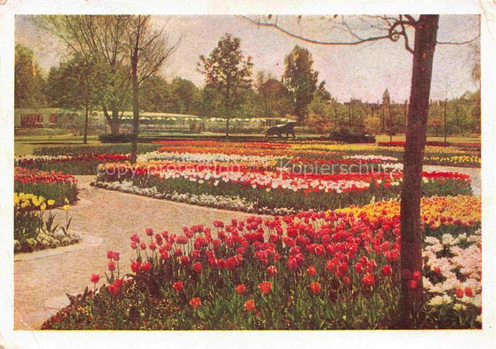 BUGA Bundesgartenschau Hannover Blumenschau Rossenkaffe