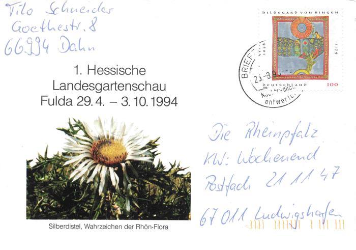 LAGA Landesgartenschau Fulda Silberdistel