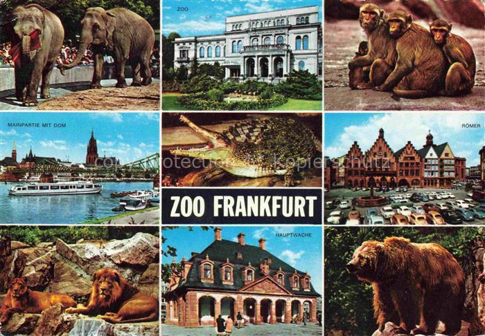 Zoo Gardin Zoologique-- Frankfurt Loewe Baer Roemer Elefant Affen Hauptwache