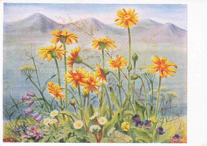 RITTER M. Kuenstlerlitho Wiesen Blumen