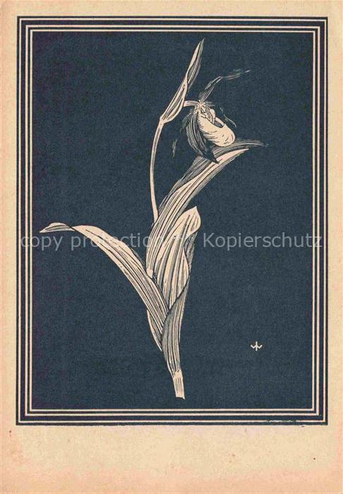 WEIss J. Kuenstlerkarte Frauenschuh