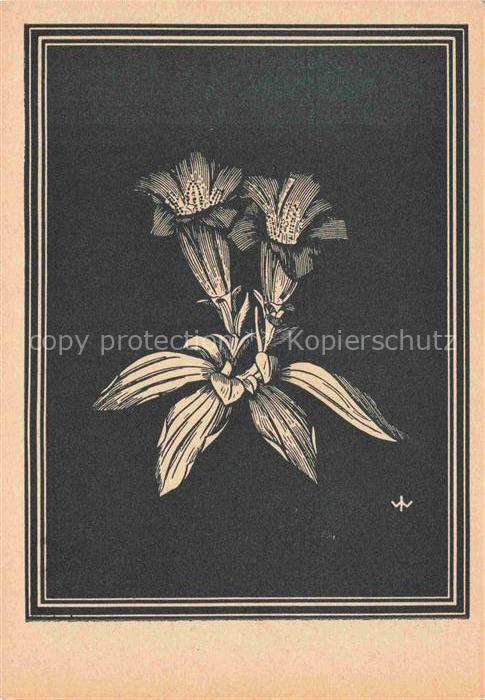 WEIss J. Kuenstlerkarte Keulen Enzian