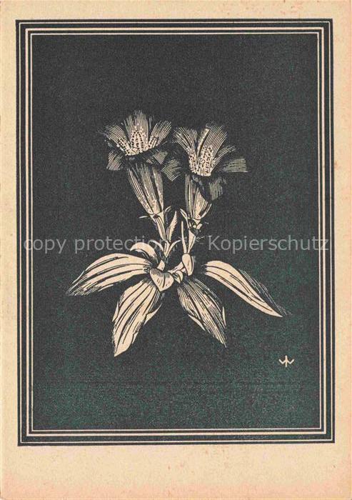 WEIss J. Kuenstlerkarte Keulen Enzian