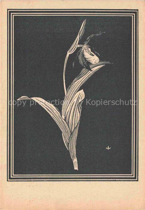 WEIss J. Kuenstlerkarte Frauenschuh