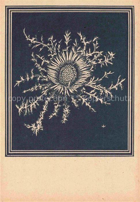 WEIss J. Kuenstlerkarte Silberdistel