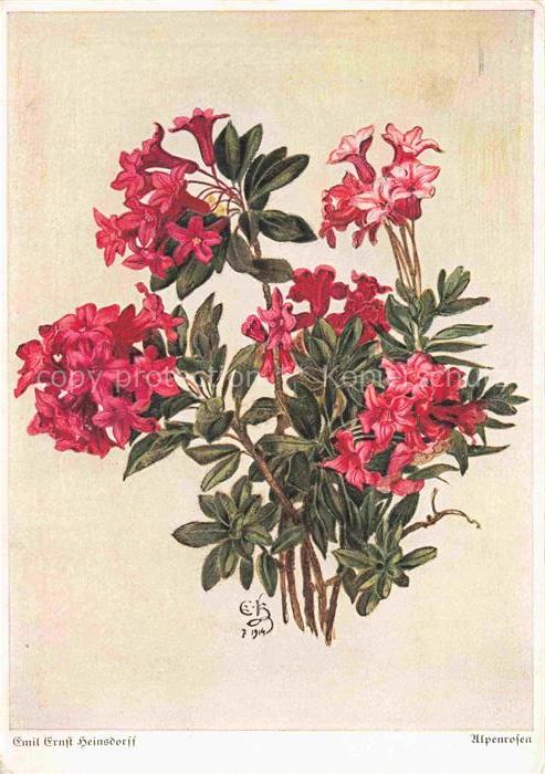 HEINSDORFFf Emil Ernst Kuenstlerkarte Alpenrosen