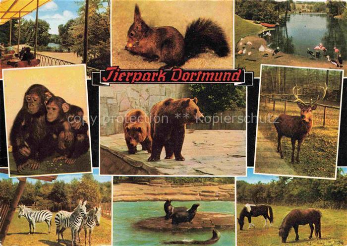 Zoo Gardin Zoologique-- Tierpark Dortmund Affen Pferde Zebras Baer Seeloewe Hirs