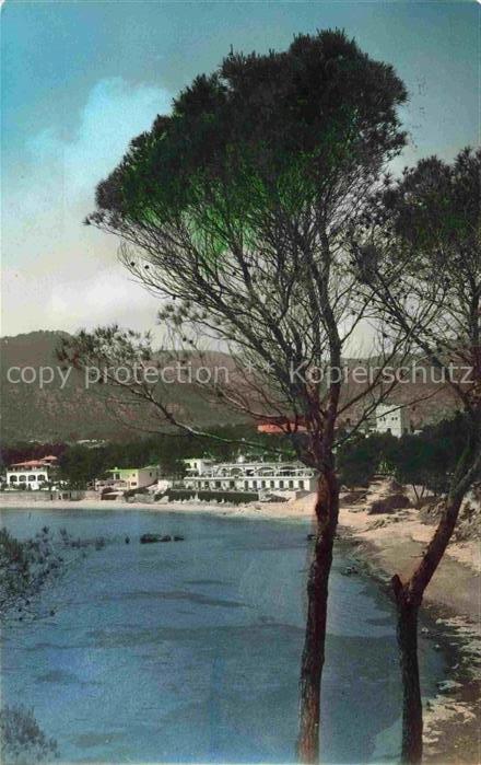 Paguera Peguera Calvia Mallorca ES Hotel Villamil