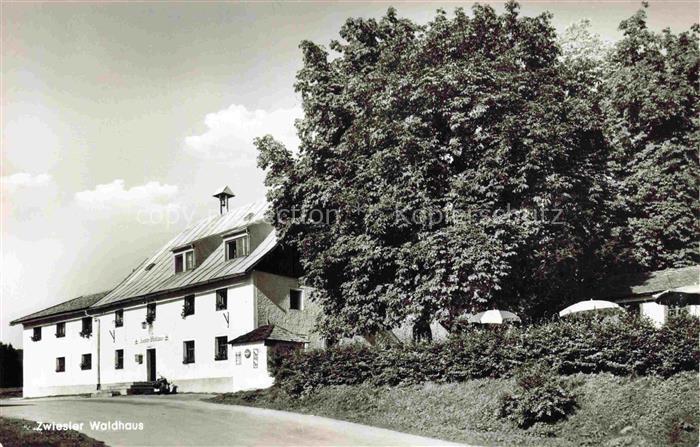 Zwiesel  Niederbayern Zwieseler Waldhaus