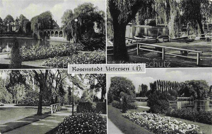 Uetersen Pinneberg Schleswig-Holstein Im Rosarium