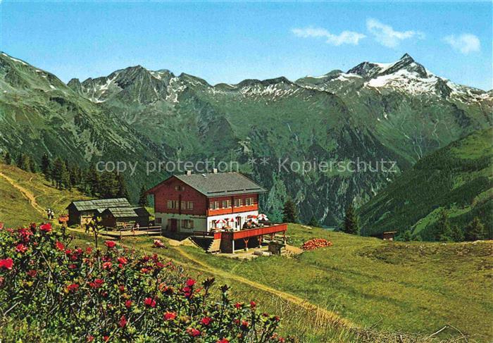 Haeusleralm 1900m Mallnitz Kaernten AT Panorama mit Ankogel