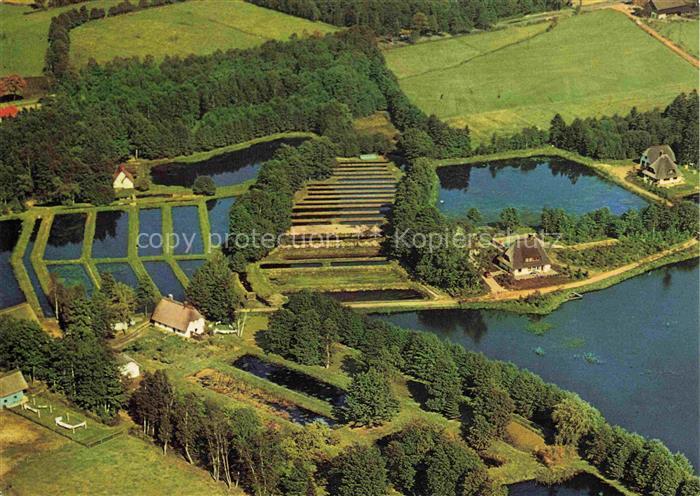 Soltau Soltau-Fallingbostel Niedersachsen Forellenzucht Spiekerhof Fliegeraufnah