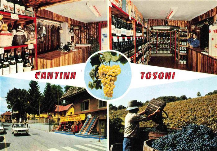 Tarvisio 751m Udine IT Cantina Tosoni Weinkeller Via Veneto Weinlese