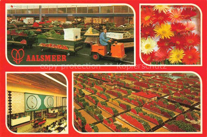 Aalsmeer Noord-Holland NL United Flower Markets Snijbloemenafdeling