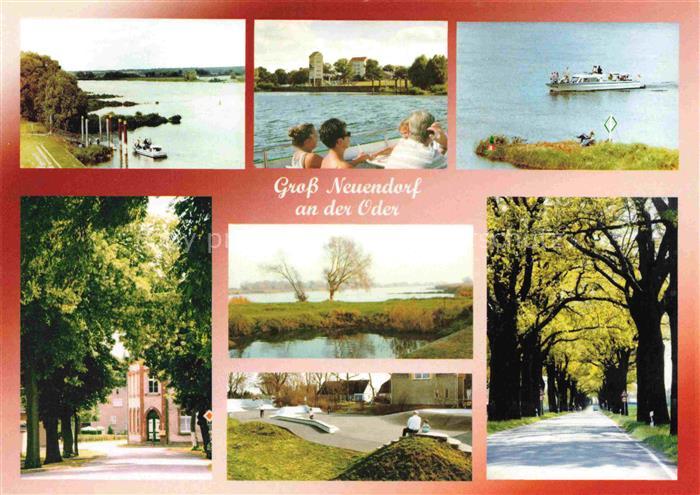 Gross Neuendorf Oderbruch Letschin Brandenburg Oderpartien Panorama Allee Faehrs