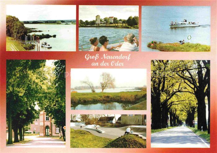 Gross Neuendorf Oderbruch Letschin Brandenburg Oderpartien Panorama Waldweg Fahr