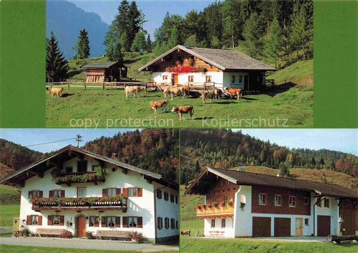 Weissbach Alpenstrasse Schneizlreuth Berchtesgaden Bayern Reiterbauer mit Reiter