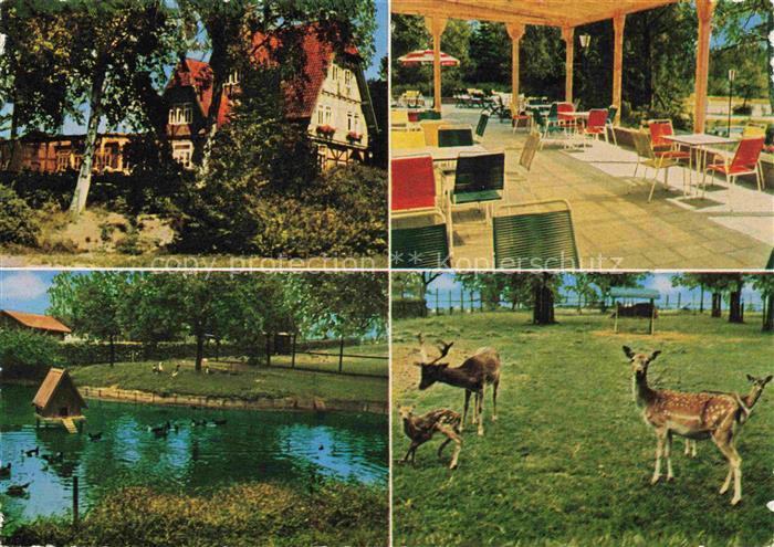 Walsrode Lueneburger Heide Waldwirtschaft Luisenhoeh Schwanenteich Wildgehege