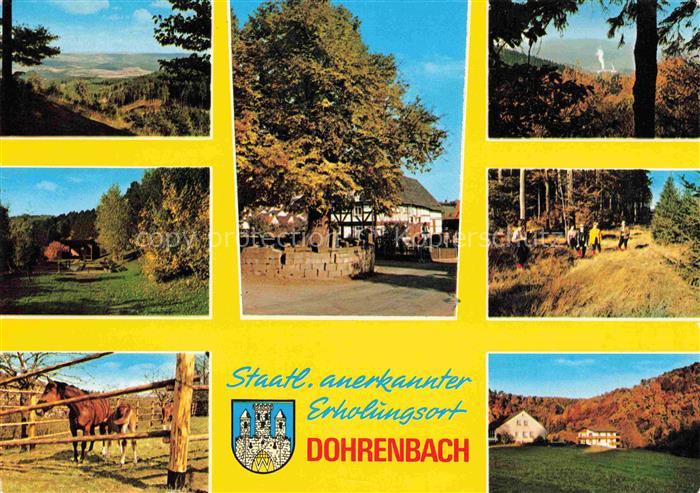 Dohrenbach Witzenhausen Hessen Gaststaette Zum Loewen Panorama Waldpartie Stute