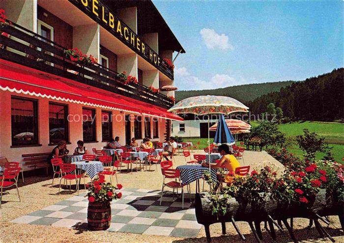 Klosterreichenbach Baiersbronn BW Hotel Heselbacher Hof Terrasse