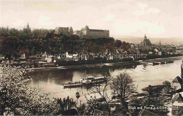 Pirna Elbe Panorama Elbepartie