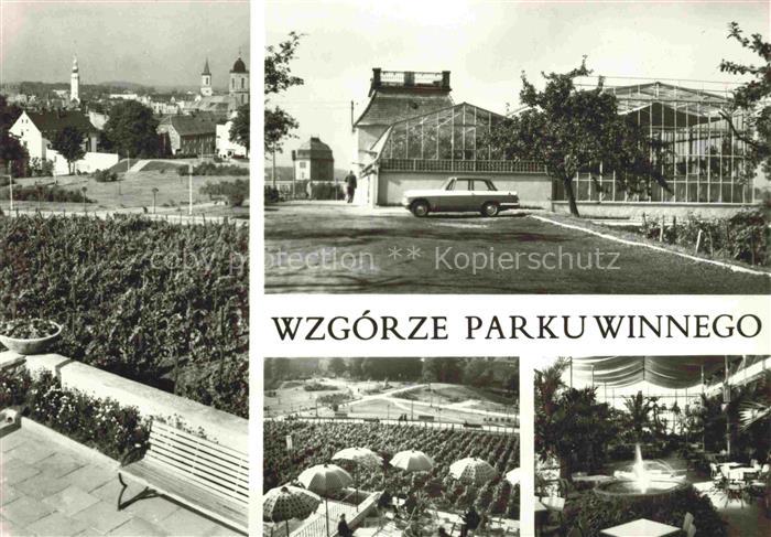 ZIELONA GORA Gruenberg PL Wzgorze Parku Winnego