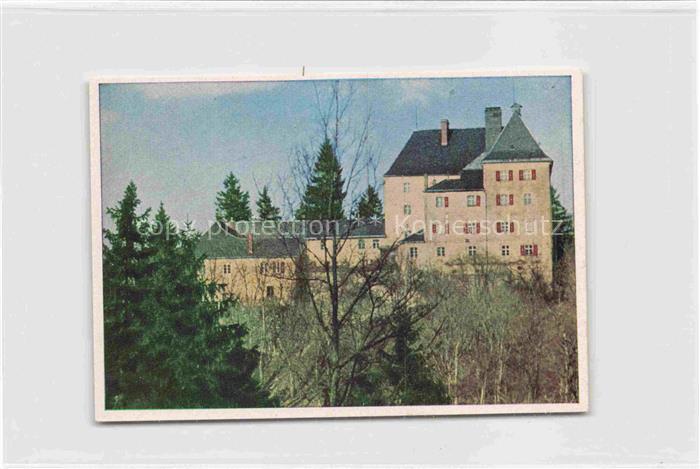Wolfstein Oberpfalz Schloss Wolfstein Sammelbild 7x10 cm