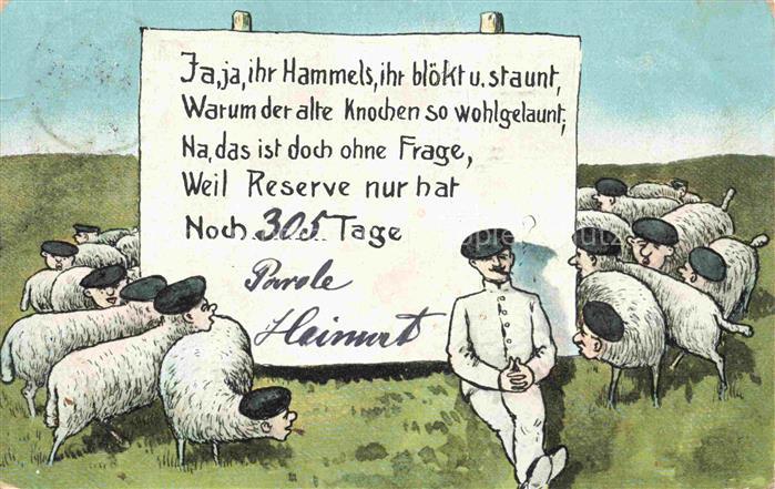 Reserve-Division Militaria Schafe