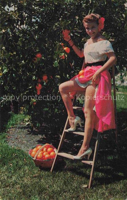 Orangen Oranges Naranjas-- Florida