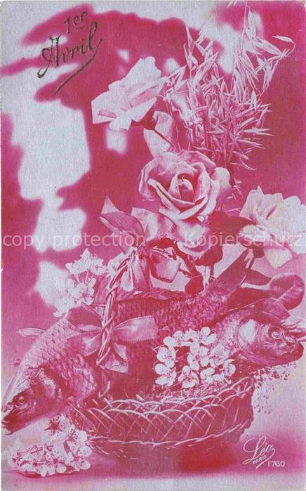 Foto LEO Nr. 1760 Rose FischAvril