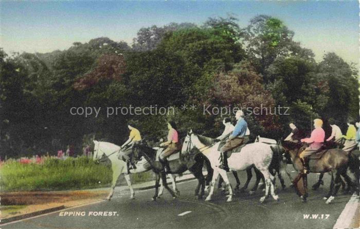 Epping Forest Essex UK Fuchsjagd