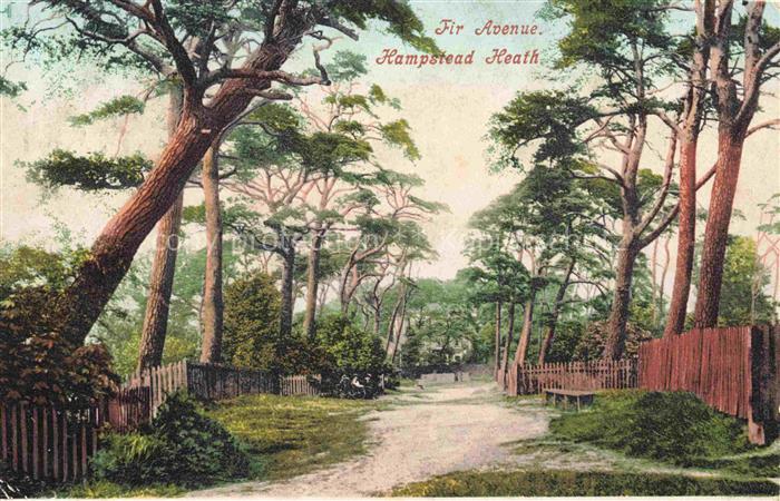 Hampstead London UK Fir Avenue Hampstead Heath