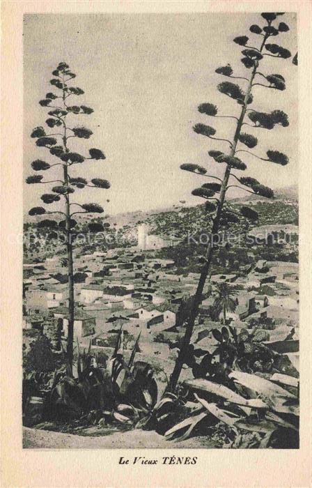 Tenes Algerie Les Vieux Tenes