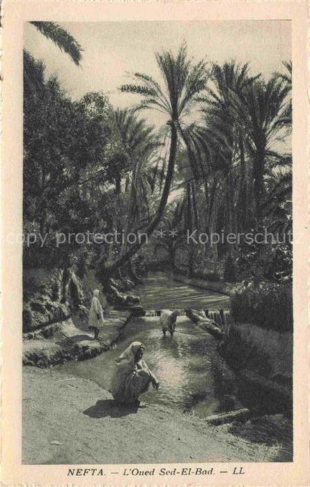 Nefta Tunesie L'Oued Sed El Bad