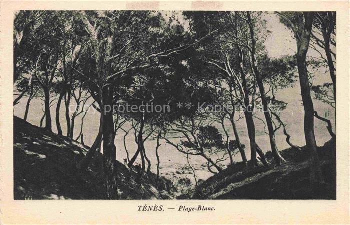 Tenes Algerie Plage Blanc