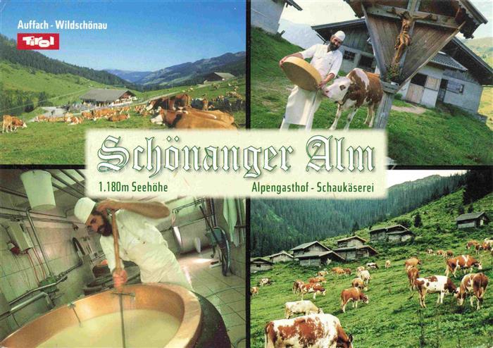 Wildschoenau Kufstein Tirol AT Alpengasthof Schaukaeserei Schoenanger Alm Panora