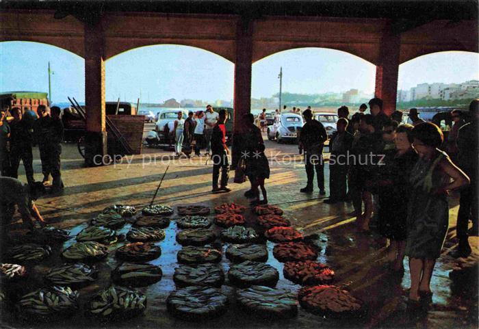 BLANES Costa Brava ES Subasta de Pescado