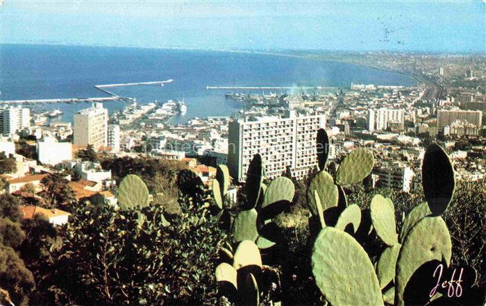ALGER  Algerie Panorama