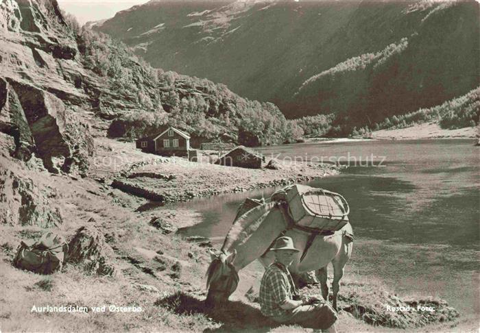 Osterbo Norge Aurlandsdaten ved Osterbo