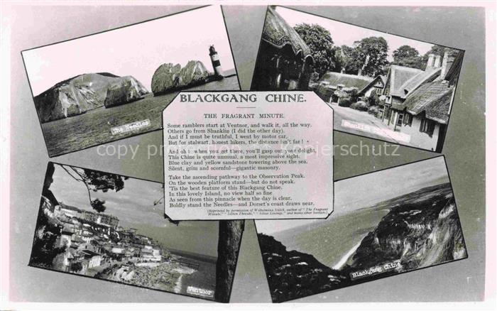 Ventnor IOW Isle of Wight UK Blackgang Chine Details