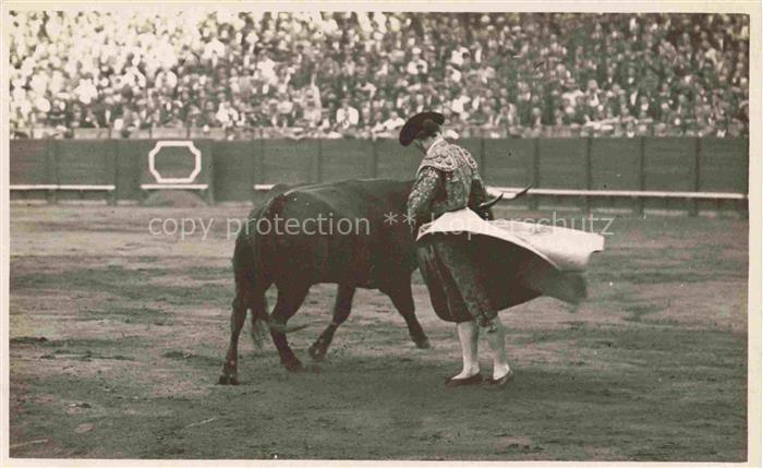 Stierkampf Corrida de Toros Bullfight--